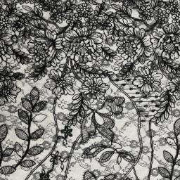 Cord Embroidery Lace Fabric Gallery Lace