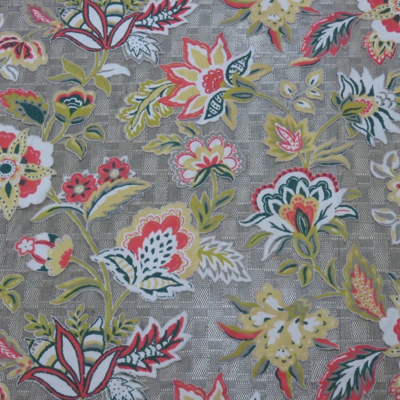 Luna Bloom: Colorful Burnout Lace