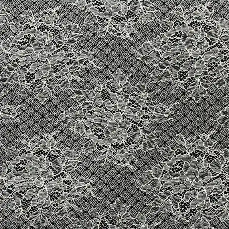 FeatherVeil Whisper-Weight Sheer Nylon Lace – Ultra-Fine Floral Embroidered Fabric